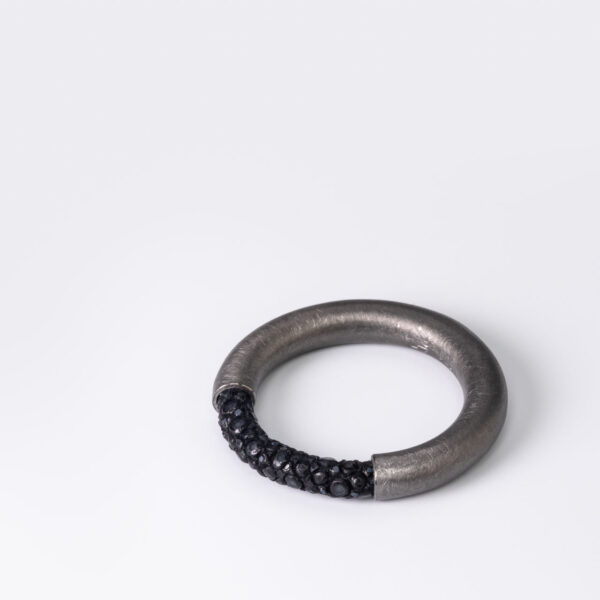 Ring WIRE