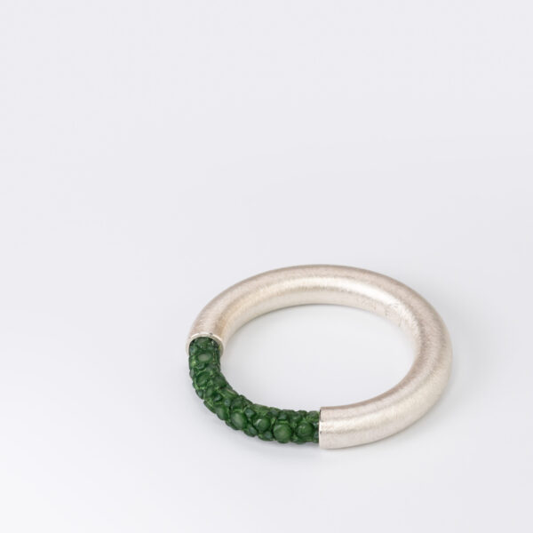 Ring WIRE