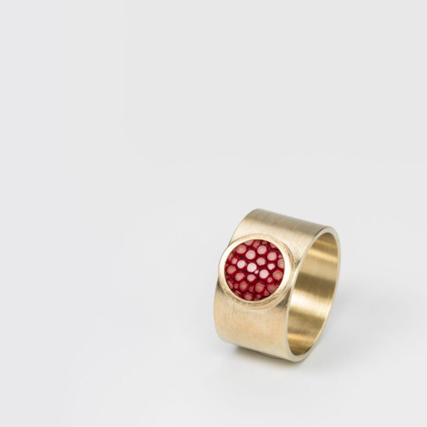 Ring DOT I