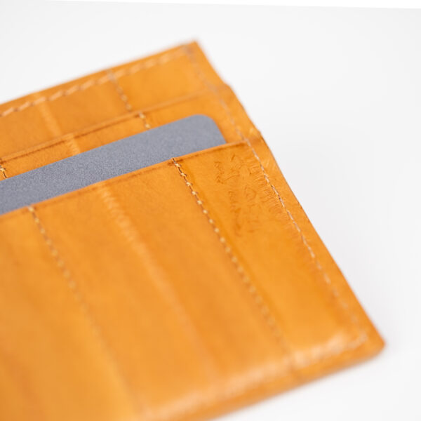 Etui LOUIS - braun