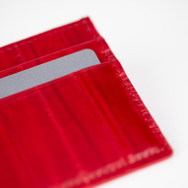 Etui LOUIS - rot
